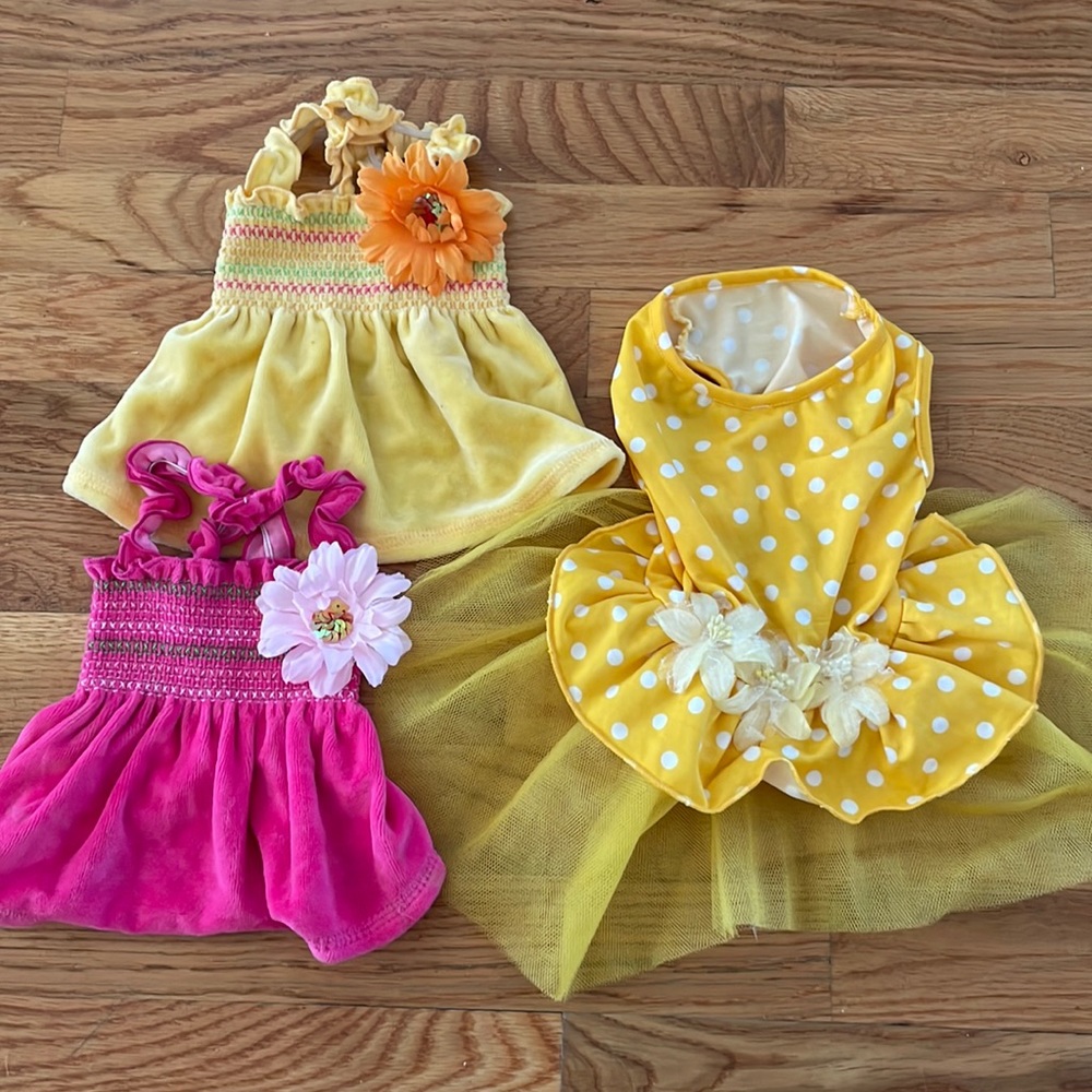 3 doggie dog dresses dress Lulupink Size XS